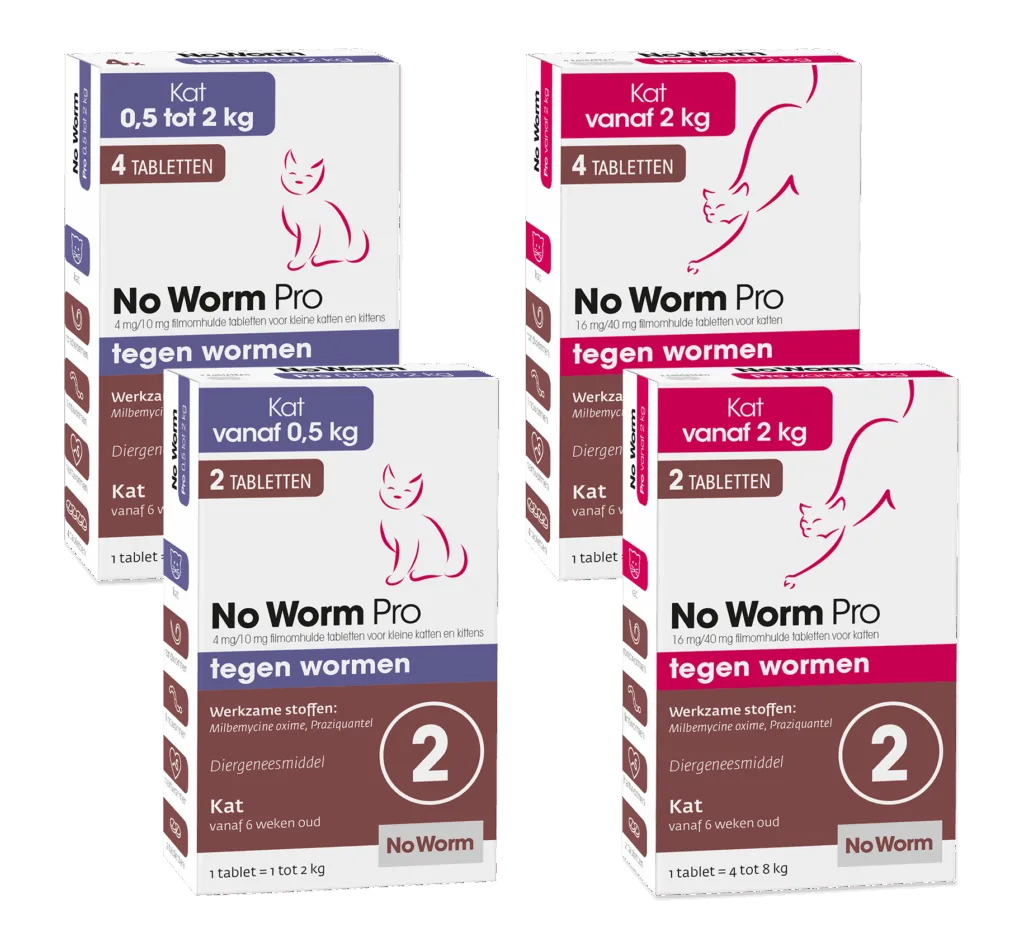 No Worm - PRO ontwormingsmiddel voor katten