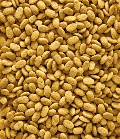 Nutribird P15 Original Onderhoudsvoeder - 1 kg