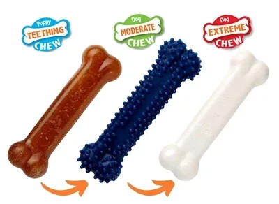 Nylabone Puppy Chew Puppy Starter Kit Chicken Tot - 11 kg - Image 2