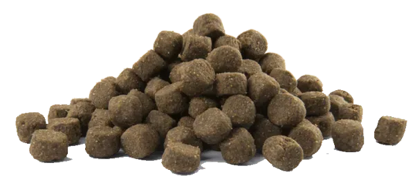 Opti Life Prime Adult Chicken - Image 2
