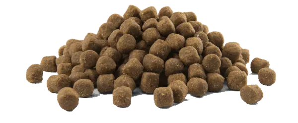Opti Life Prime Puppy - Image 2
