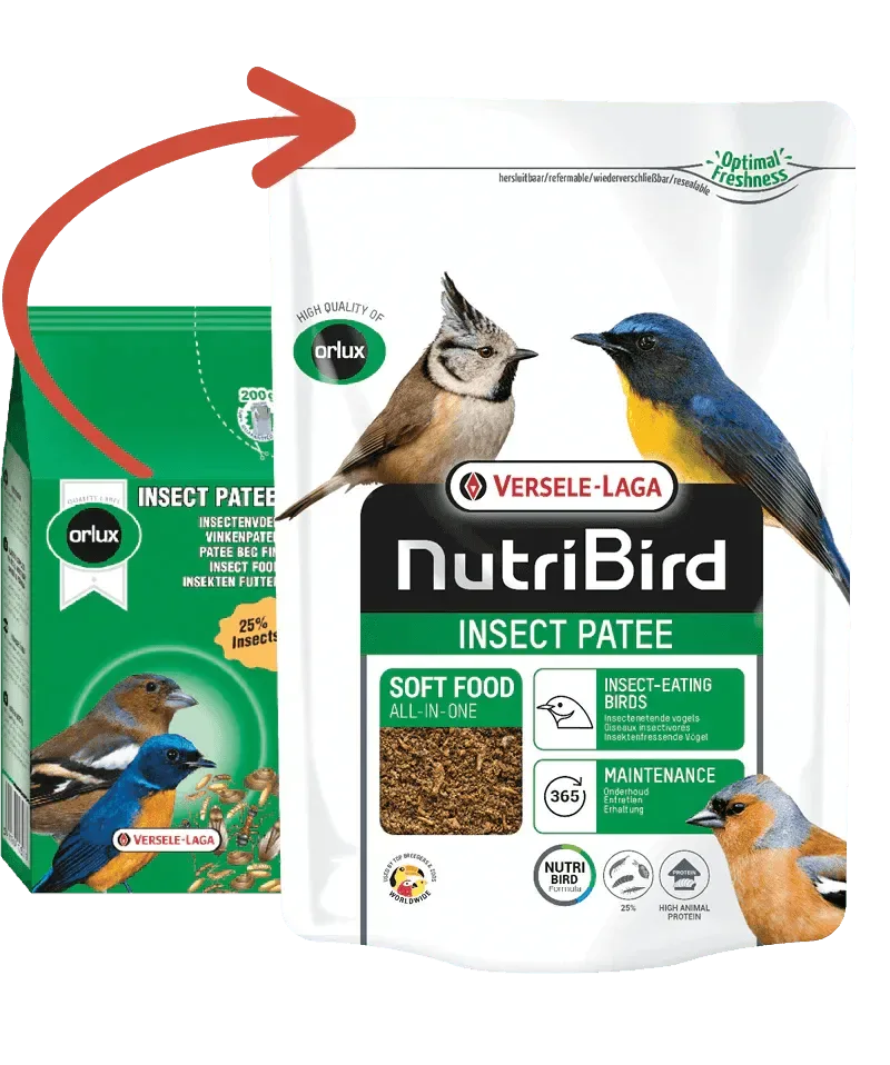 Orlux Insect patee (20 kg)