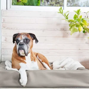 Orthopedische Hondenmand Bia Bed Taupe