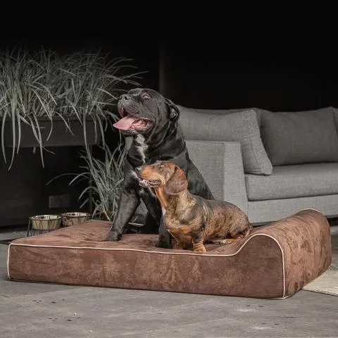 Orthopedische hondenmand Bully Bed Bruin - Image 2