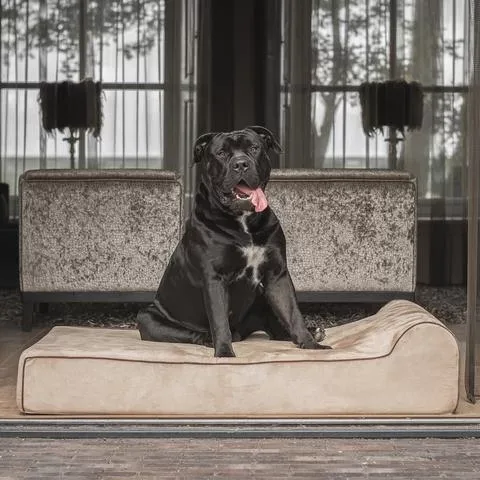 Orthopedische Hondenmand Bully Bed Taupe 122cm
