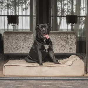 Orthopedische hondenmand Bully Bed Taupe