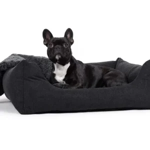 Orthopedische hondenmand Comfort Dream Zwart