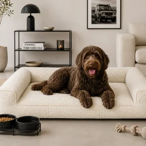 Orthopedische Hondenmand Lounge Bed Boucle Ivoor