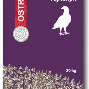 Ostrea Duivengrit