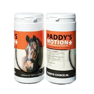 Paddy’s Motion
