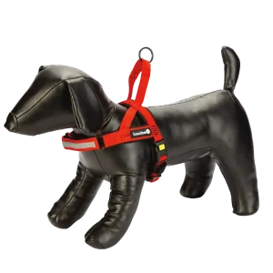 Parinca Premium Hondentuig Rood 42-53 cm