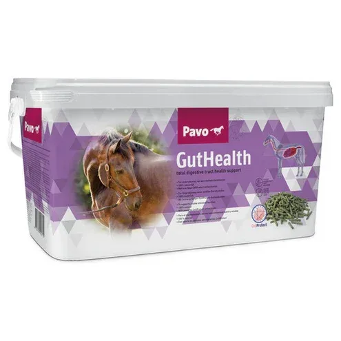 PAVO Guthealth (vitaminen- en mineralenbalencer)