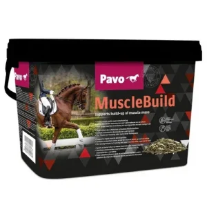 PAVO MuscleBuild