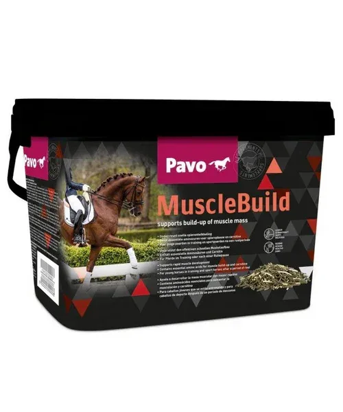 PAVO MuscleBuild