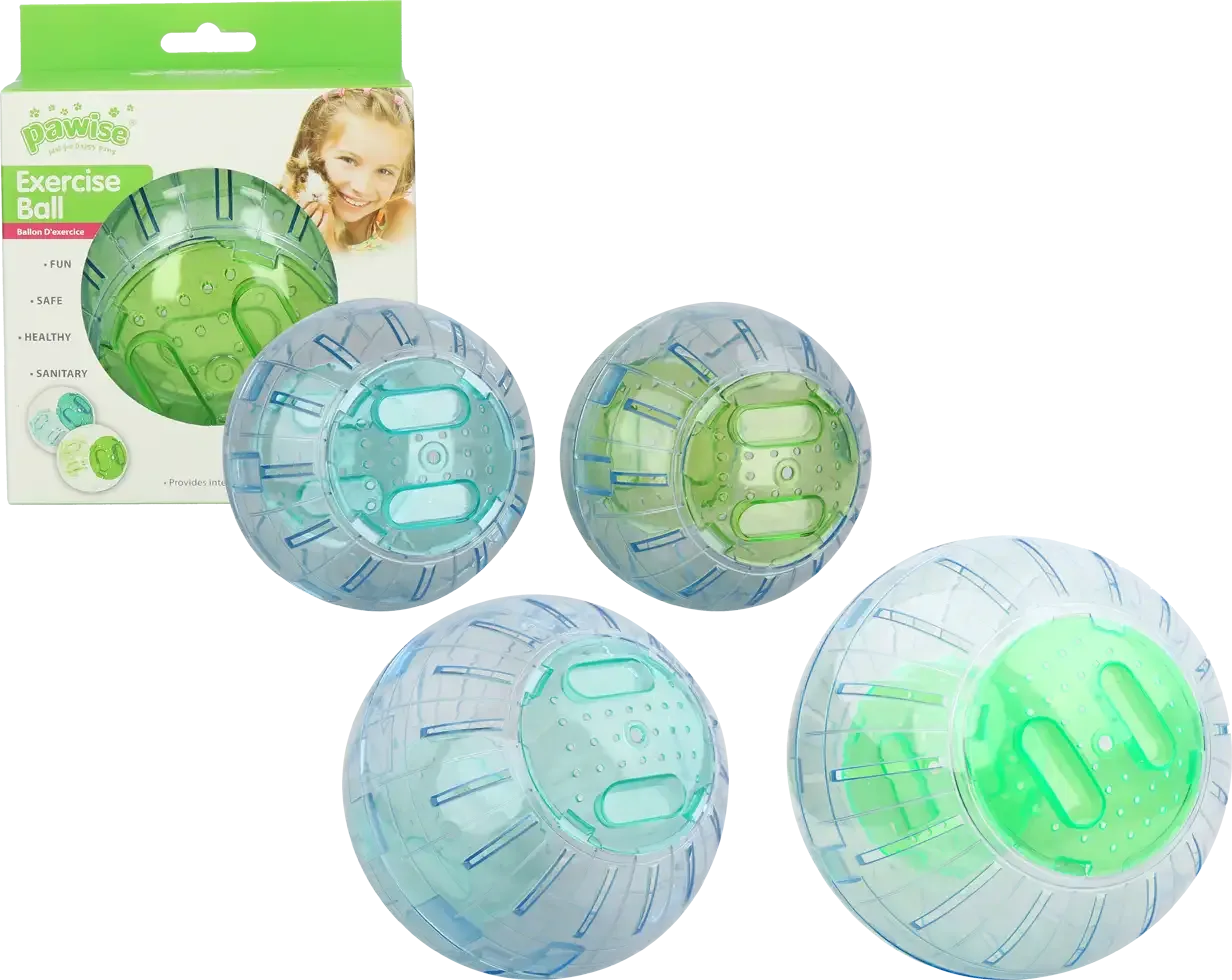Pawise Exercise Ball L – 25 cm - Image 2