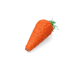 Pawise Play & Chew Carrot