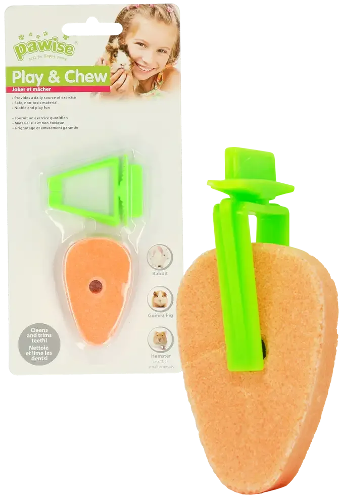 Pawise Play & Chew Salt Carrot - Image 2