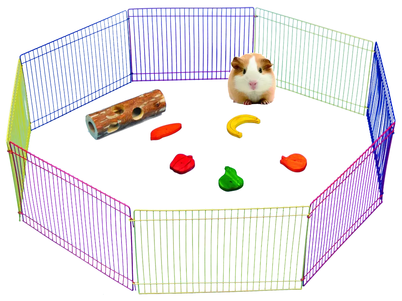 Pawise Small Animal Play Pen