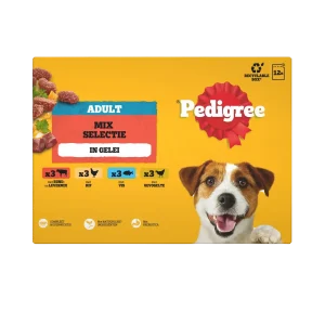 Pedigree Pouch Adult Favourites Multipack