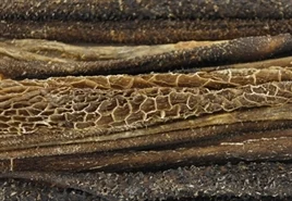 Pens 100 gram Laagste prijs - Image 2