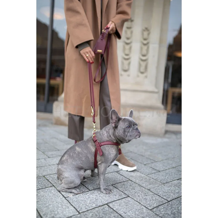 PERRO COLLECTION - Poepzakjeshouder - Image 2