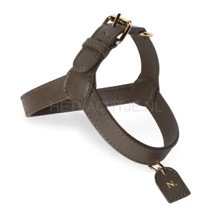 PERRO COLLECTION - Truffle Hondentuig