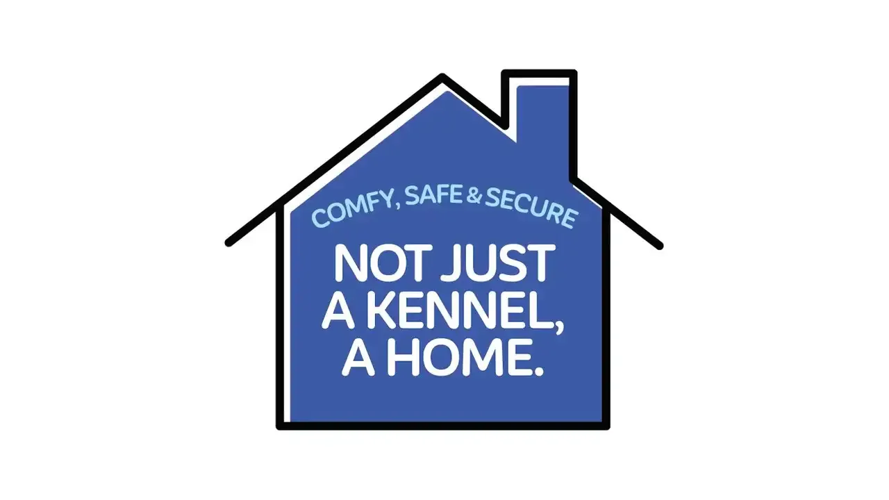 Petmate 2 Door Kennel Wit XS - Image 2