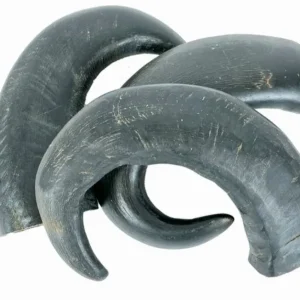 Petsnack - Buffelhoorn Tip - Hondensnack - 3 stuks