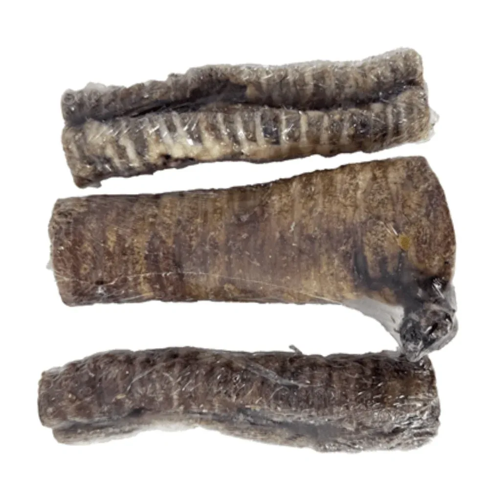 Petsnack - Buffelslurf - Gevuld - 100% Natuurlijk - Kauwsnack - 15cm - 3 stuks - Image 2