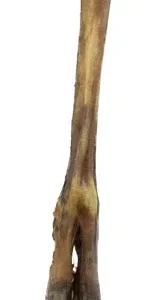 Petsnack Hertenpoot 1 St