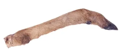 Petsnack Reeenpoot met Haar 7 St - Image 2