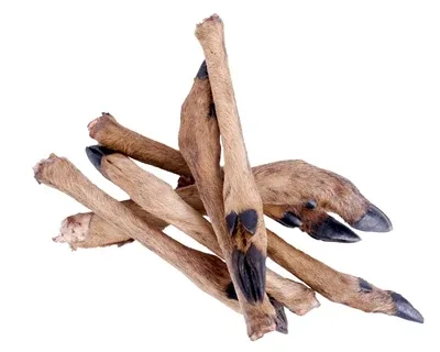 Petsnack Reeenpoot met Haar 7 St