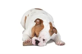 Petstages Durable Stick 20cm - Image 2