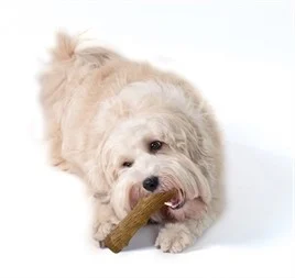 Petstages Durable Stick 20cm