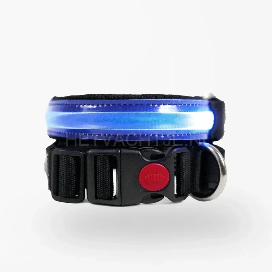 PettyItalia - LED-halsband Blauw