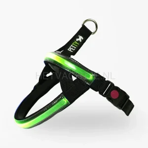 PettyItalia - Norwegian LED tuig Groen