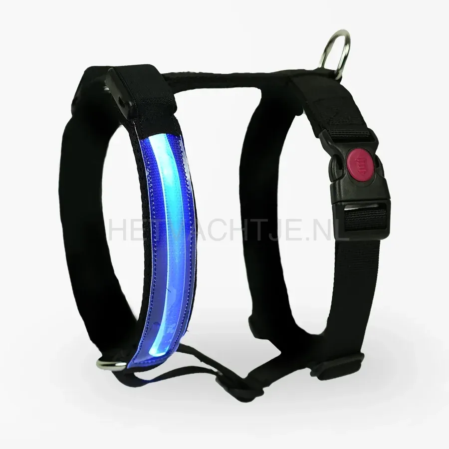 PettyItalia - Pettorina H-tuig LED Blauw