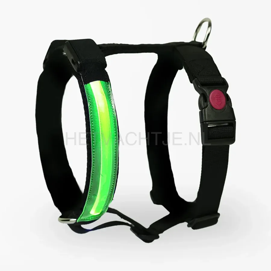 PettyItalia - Pettorina H-tuig LED Groen