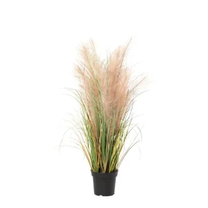 Phragmites Kunstgras