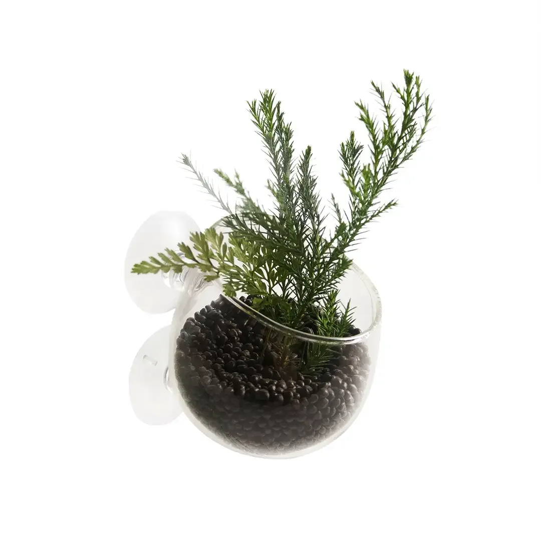 Plant cup glas 9x6x6cm transparant