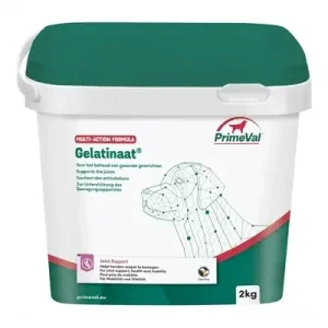 Primeval Gelatinaat Hond 2 Kg