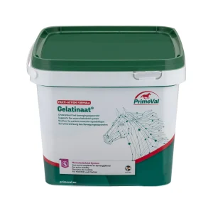 PrimeVal Gelatinaat paard