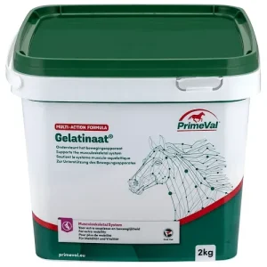 Primeval Gelatinaat Paard (Multi-Action Formula)