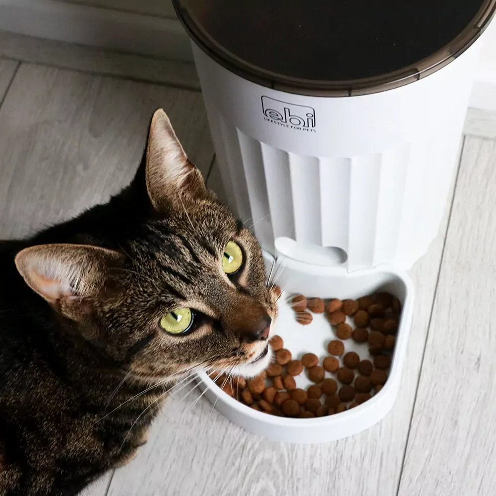 Programmeerbare katten voerbak – Talakona - Image 2