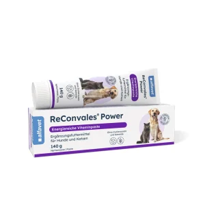ReConvales Power | Hond & Kat