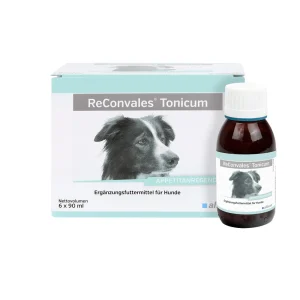 ReConvales Tonicum | Hond