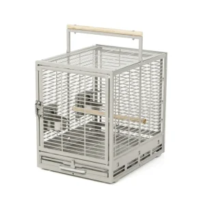 Reiskooi Vogels en Papegaai