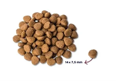 Renske Super Premium Adult Kalkoen Eend - 12 kg - Image 2