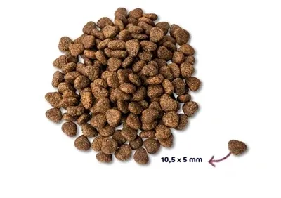 Renske Super Premium Adult Kip Graanvrij Hypoallergeen - 12 kg - Image 2