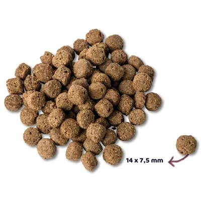 Renske Super Premium Adult Oceaanvis - 12 kg - Image 2